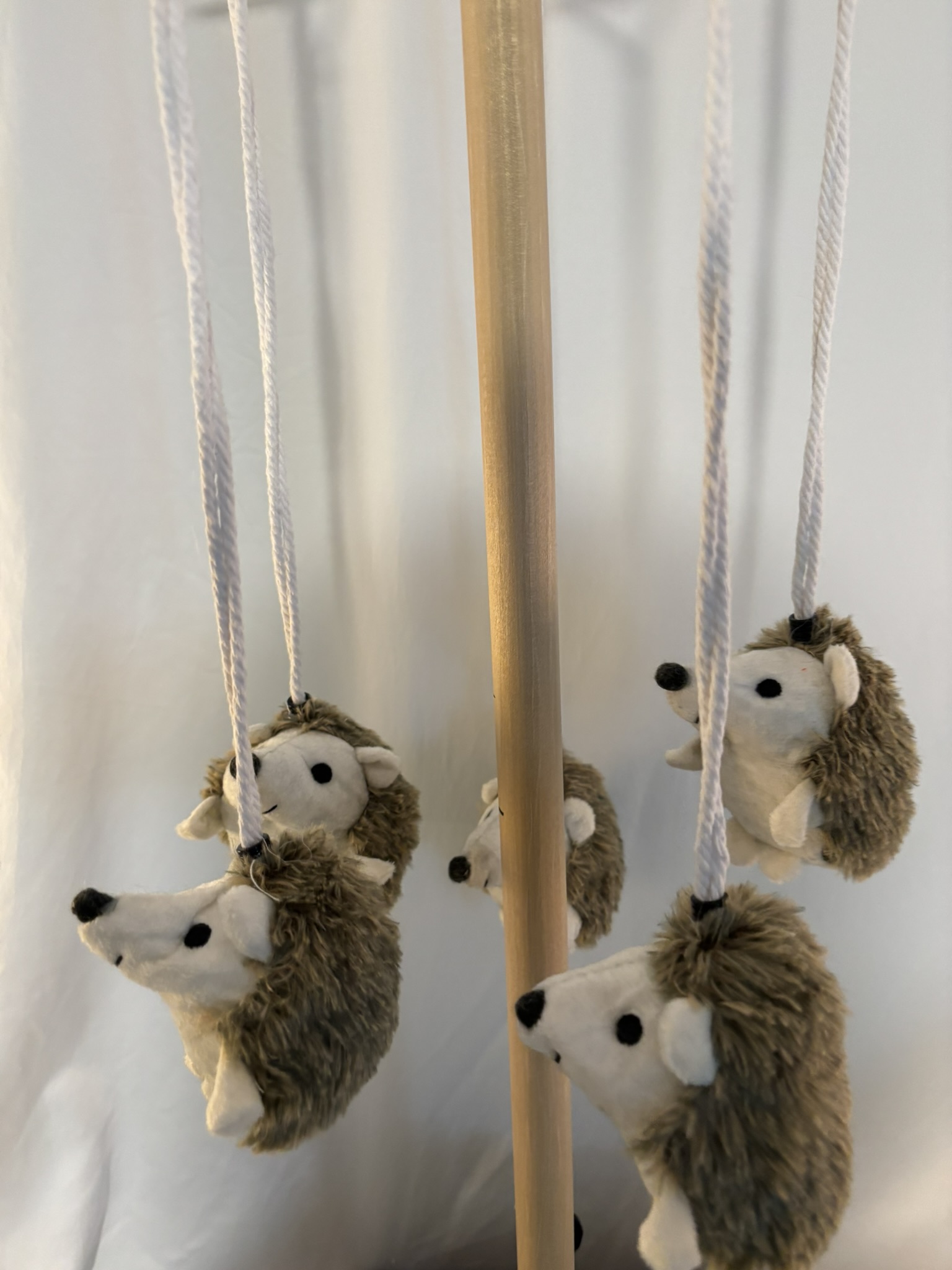 Hedgehog Whirl FancyFanz